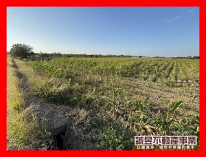 誠昱/麻豆都內3分方正美農地
