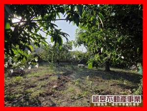 誠昱/安定南興國小旁371農地