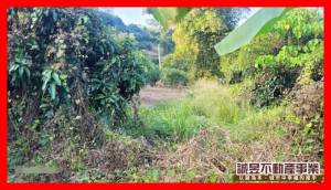 誠昱/超大農地價錢超低果園