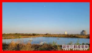 誠昱/台17置產持分都內農地