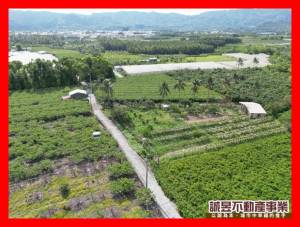 誠昱/楠西茄拔楊梅吐氣農.