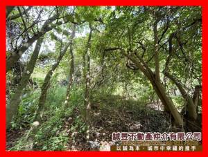 誠昱/近86快速道路.