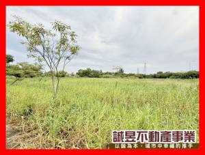 誠昱/仁德近86交流.